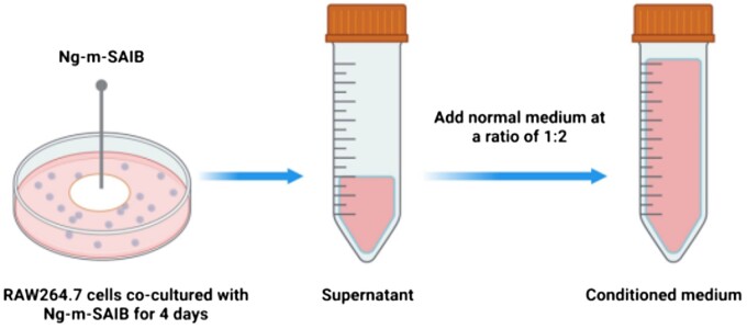 Figure 7.