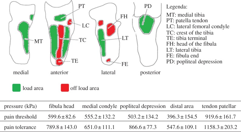 Figure 7.