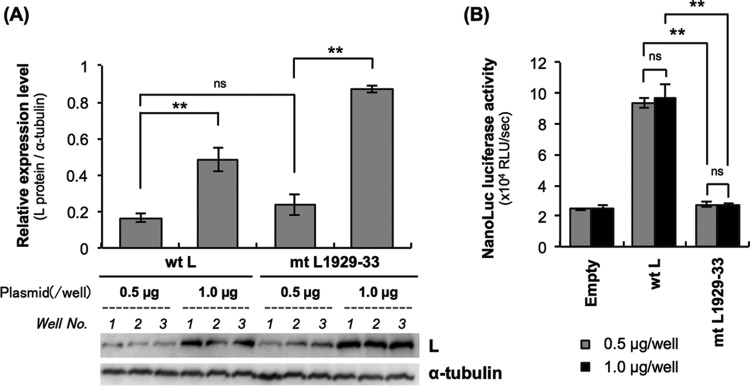 FIG 8