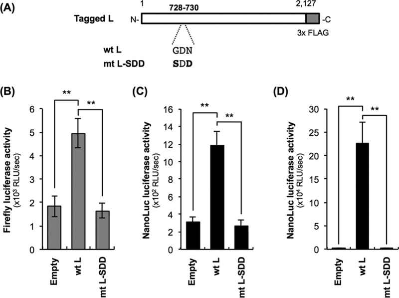 FIG 4