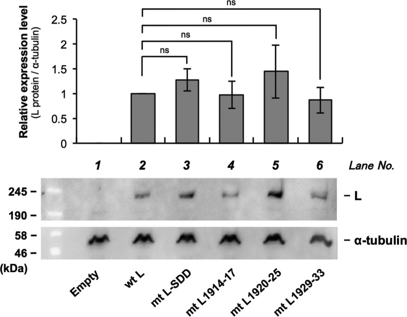 FIG 3