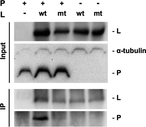 FIG 10