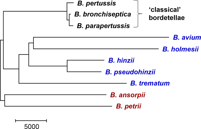 Fig 1.