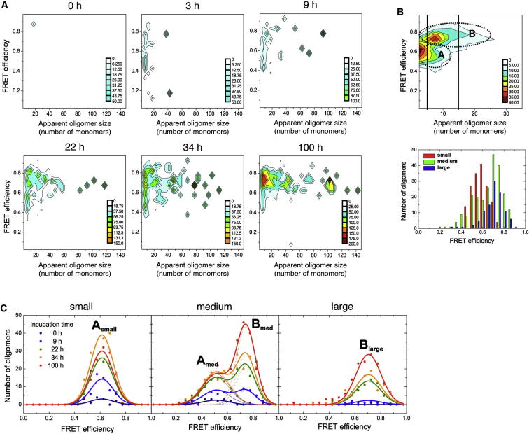 Figure 2