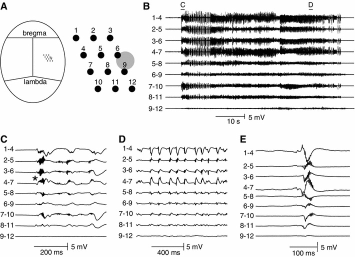 Fig. 7