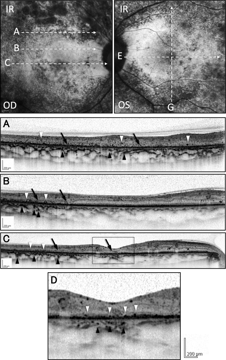 Fig. 3