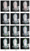 Figure 7