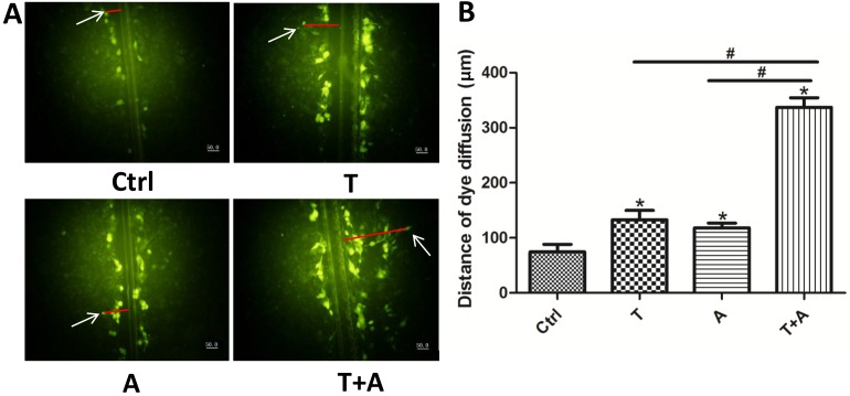 Figure 4.