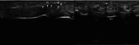Fig. 6