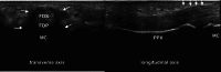 Fig. 5