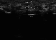 Fig. 7