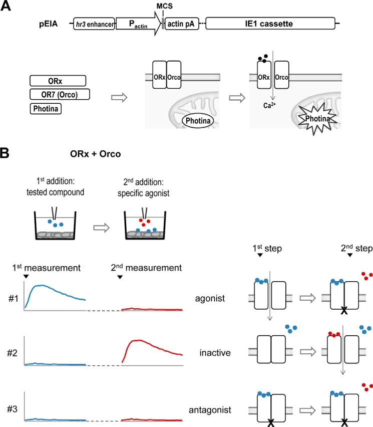 FIGURE 1.