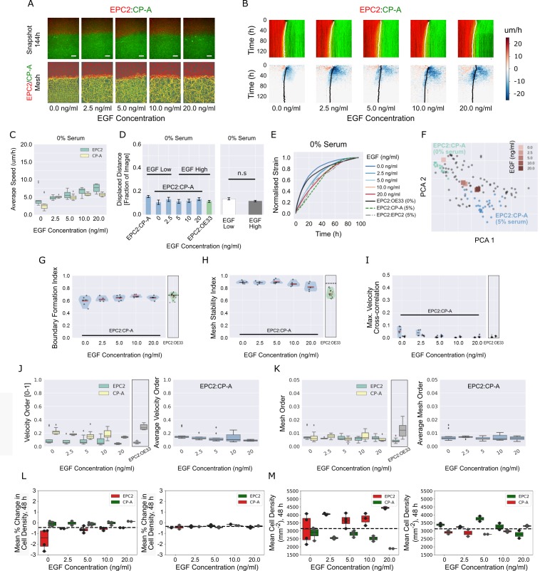 Figure 4—figure supplement 2.