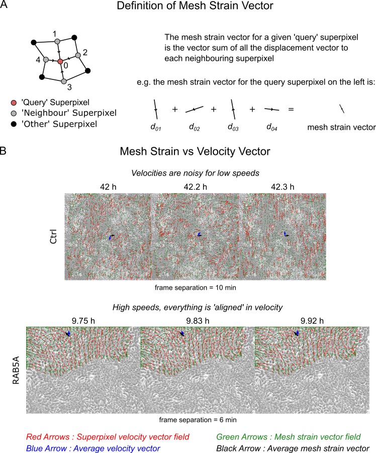 Figure 3—figure supplement 5.