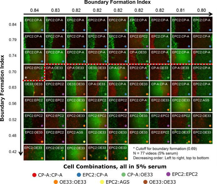 Figure 3—figure supplement 7.