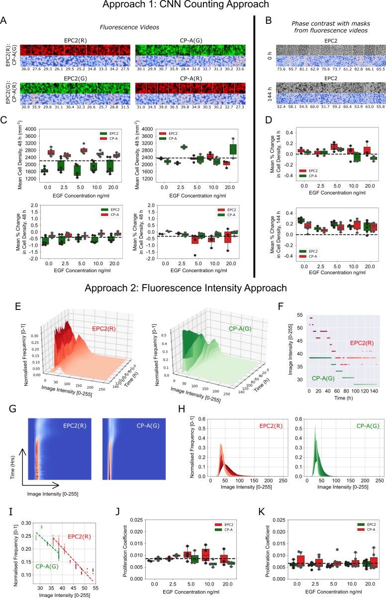 Figure 4—figure supplement 1.