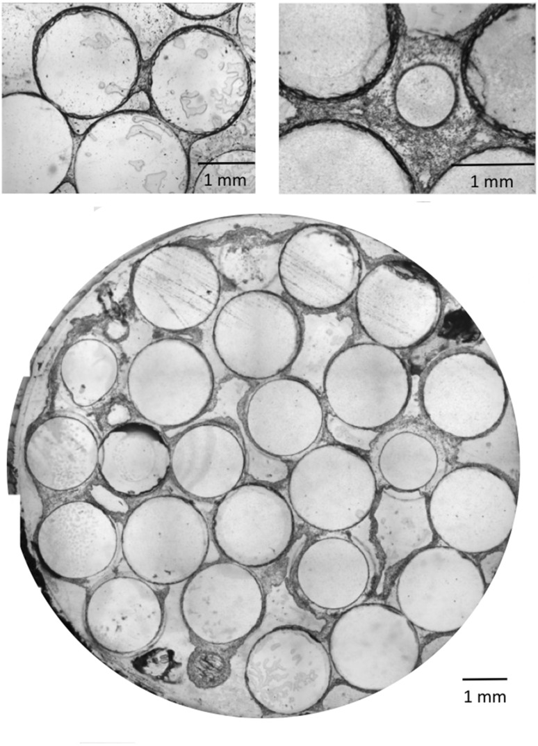 Fig. 4