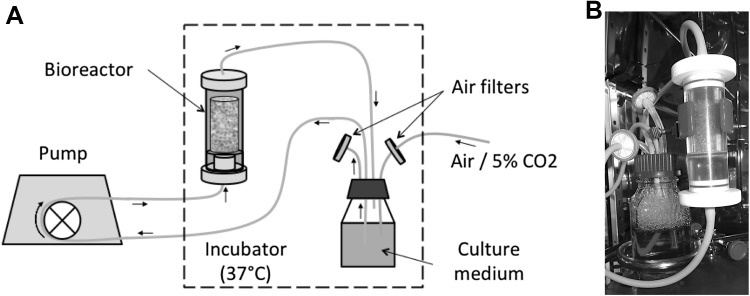 Fig. 1