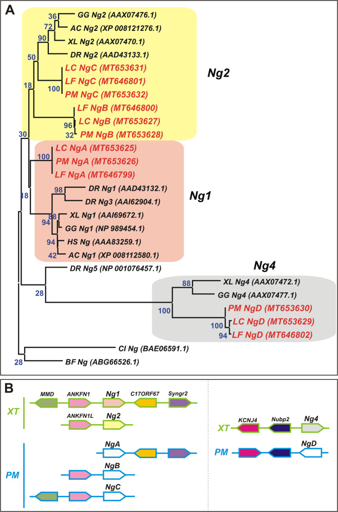 Fig. 1