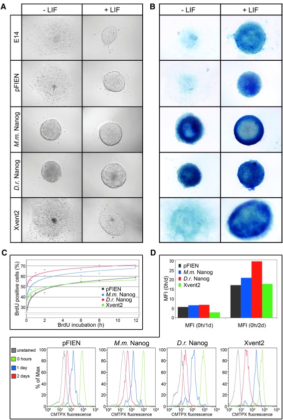 FIG. 7.