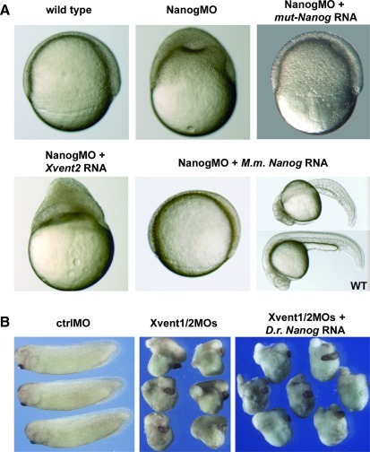 FIG. 6.