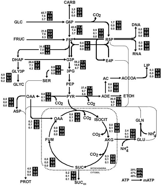 FIG. 3.