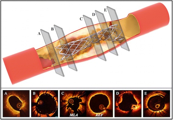 Fig. 3