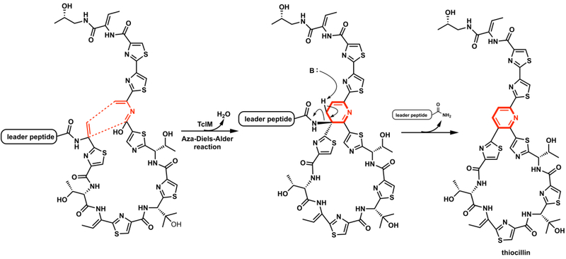 Figure 10.