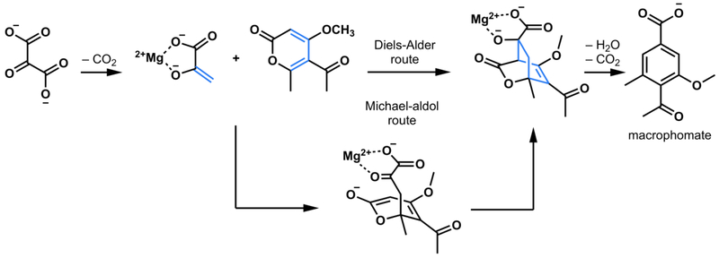 Figure 8.