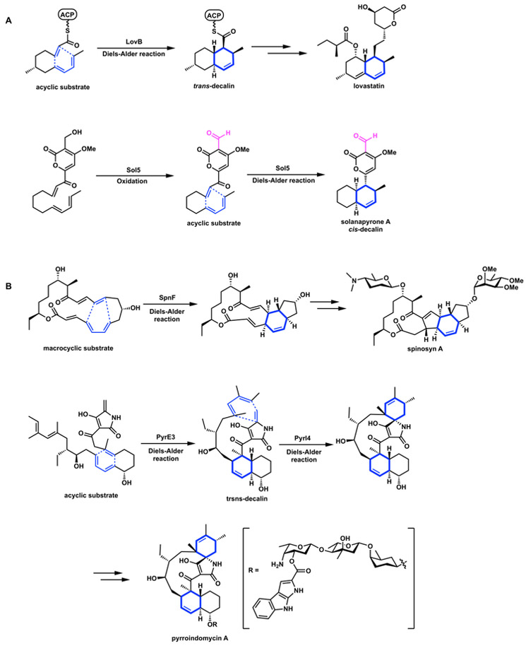 Figure 9.