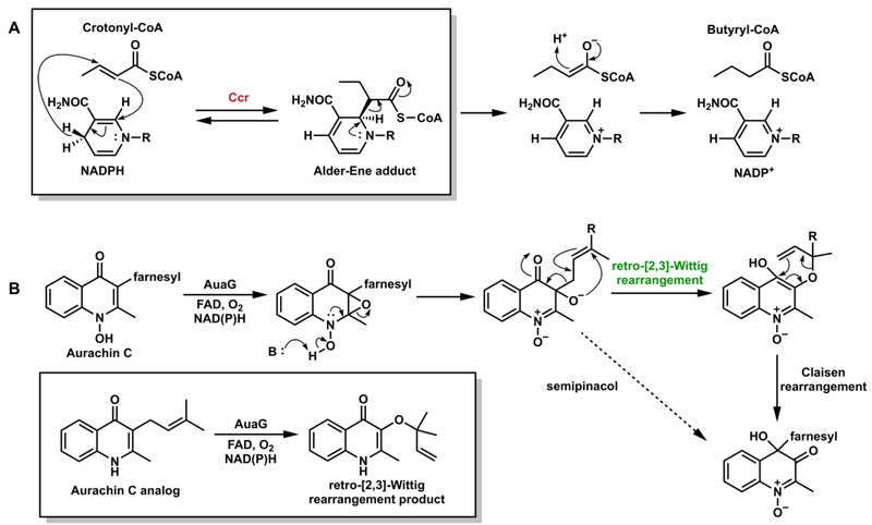 Figure 17.