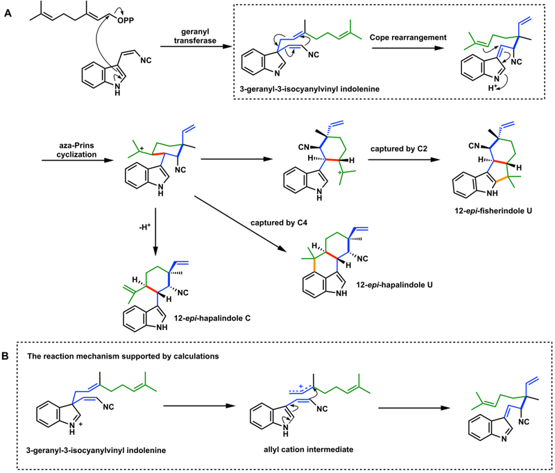 Figure 16.