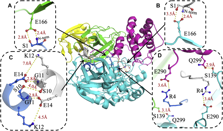 Figure 1