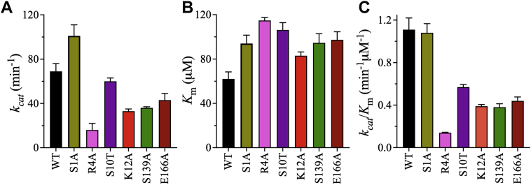 Figure 5