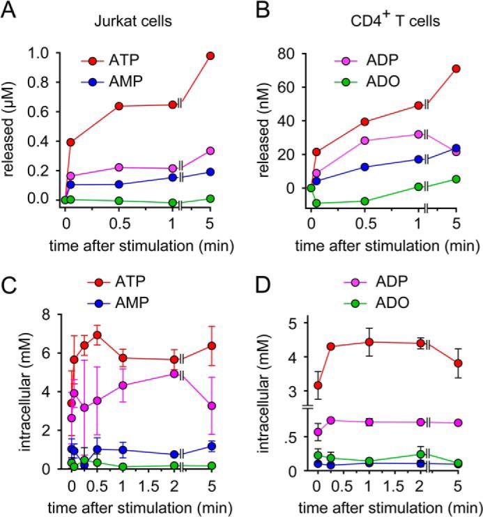 FIGURE 1.