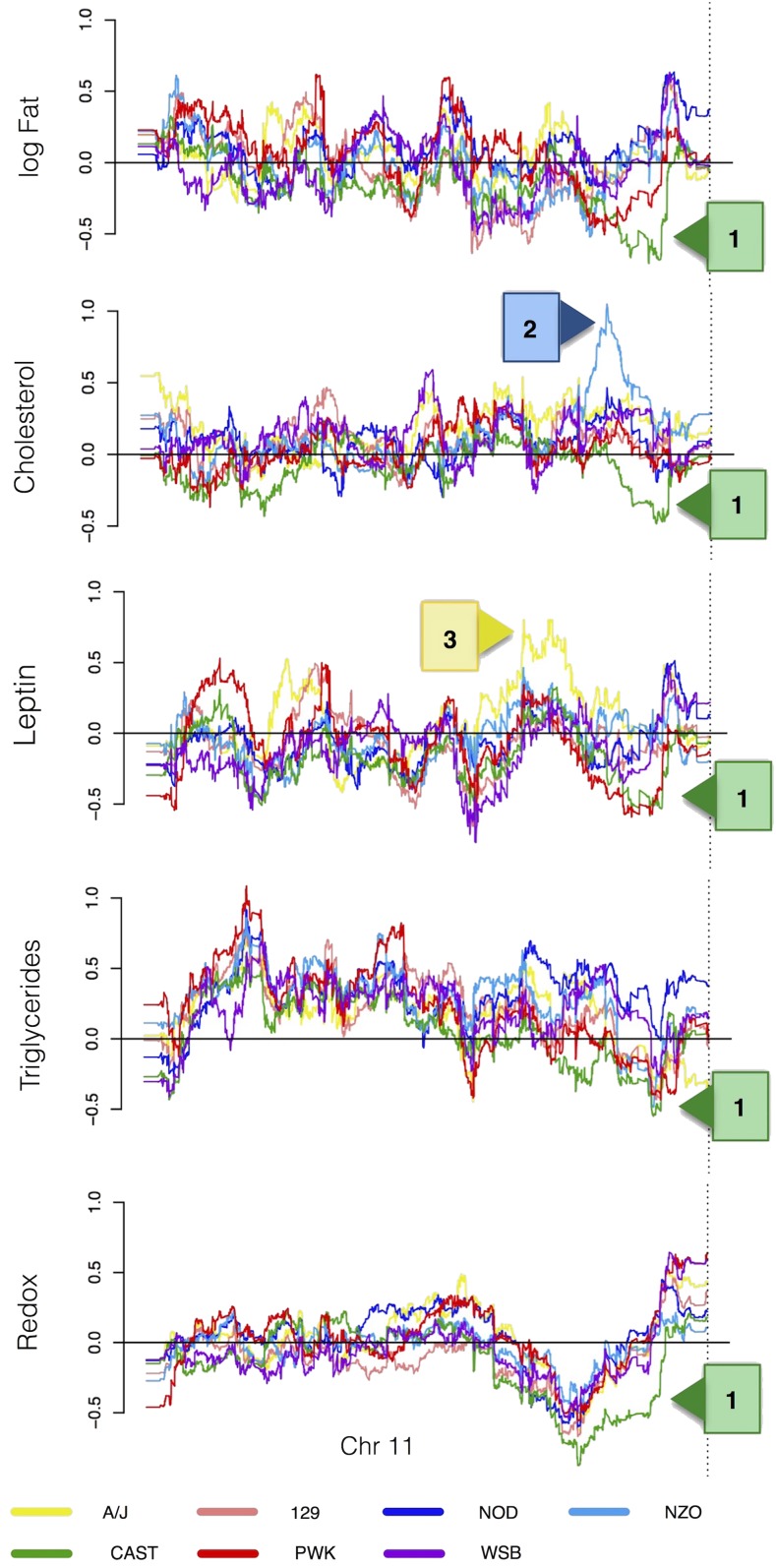 Figure 7