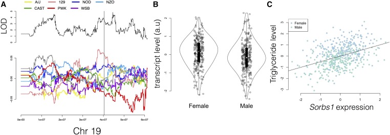 Figure 17