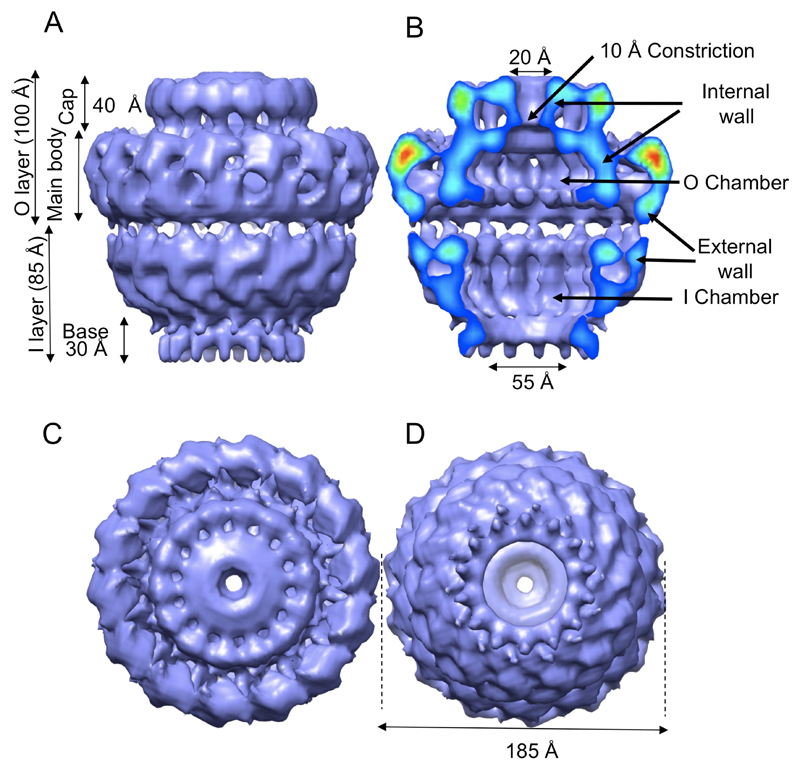 Fig.2