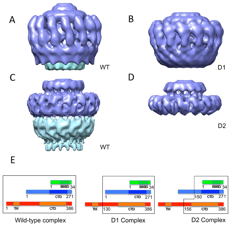 Fig.3