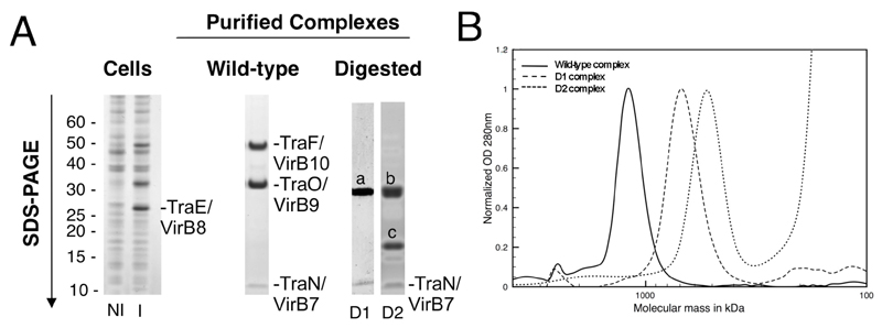 Fig.1