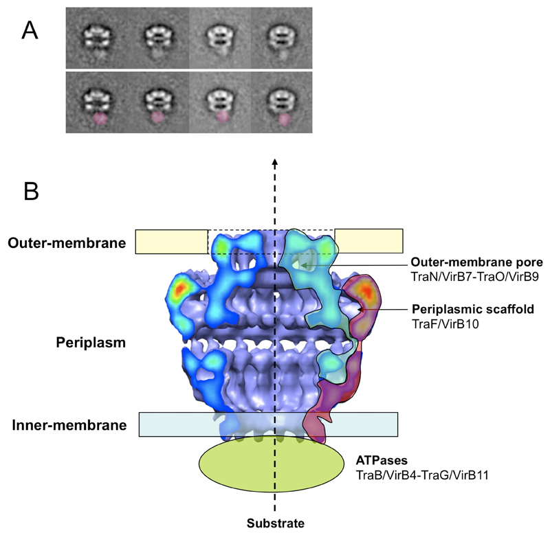 Fig.4