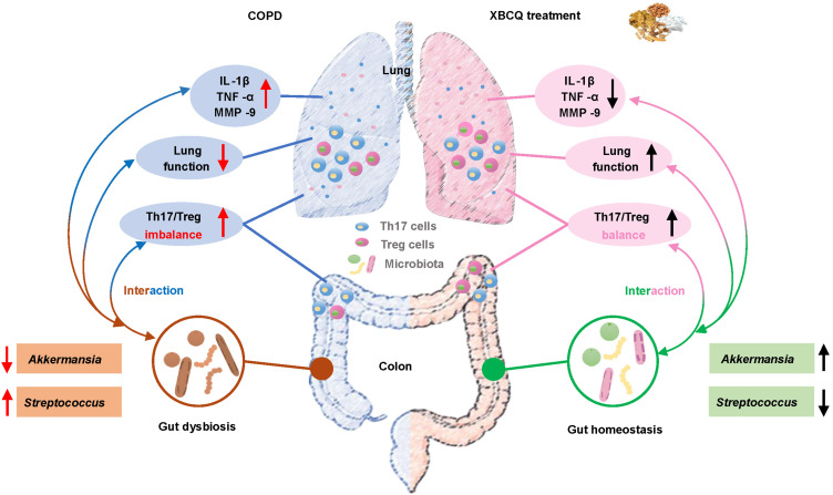 graphic file with name COPD-16-3317-g0001.jpg