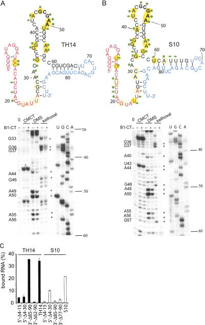 FIGURE 4.