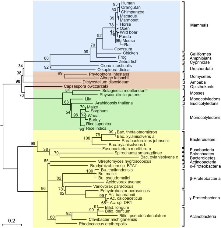 Figure 4