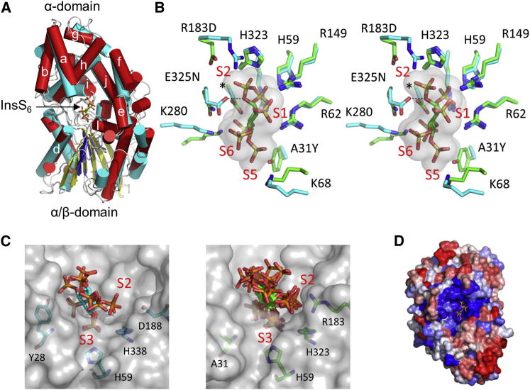 Figure 3