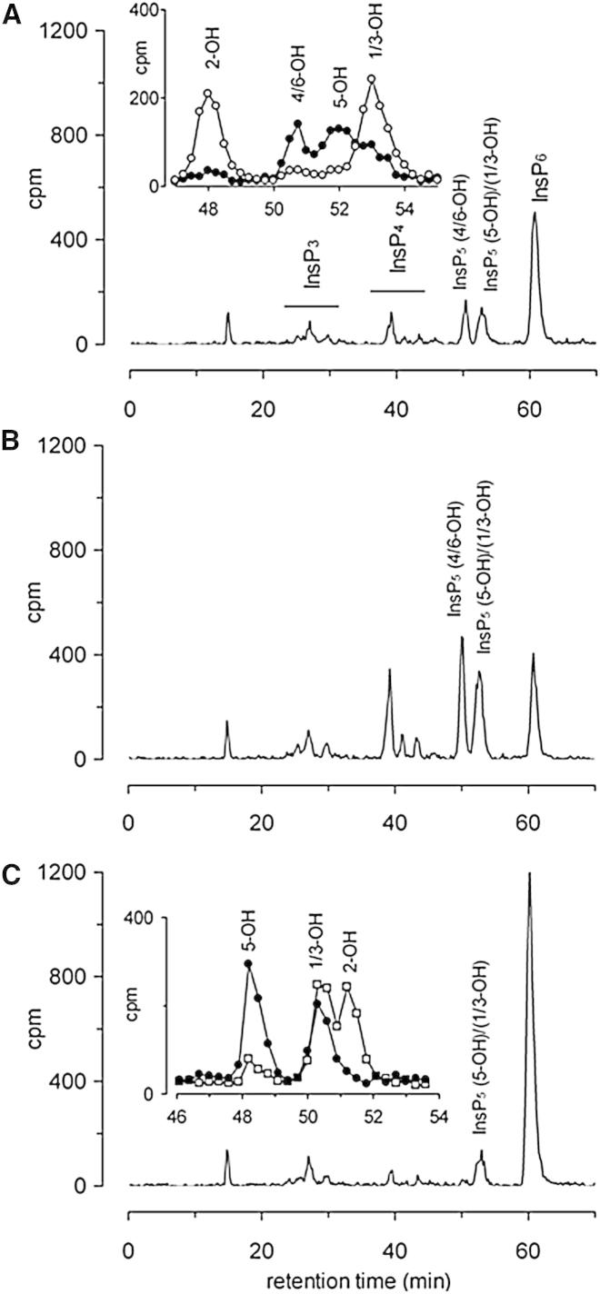 Figure 1