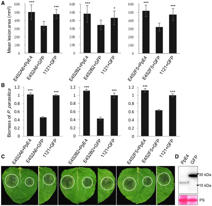 Figure 4