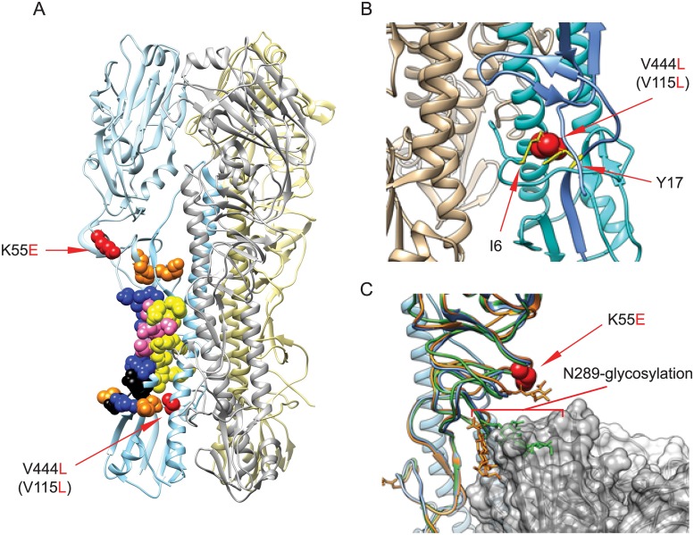 Fig 5