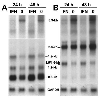 FIG. 6