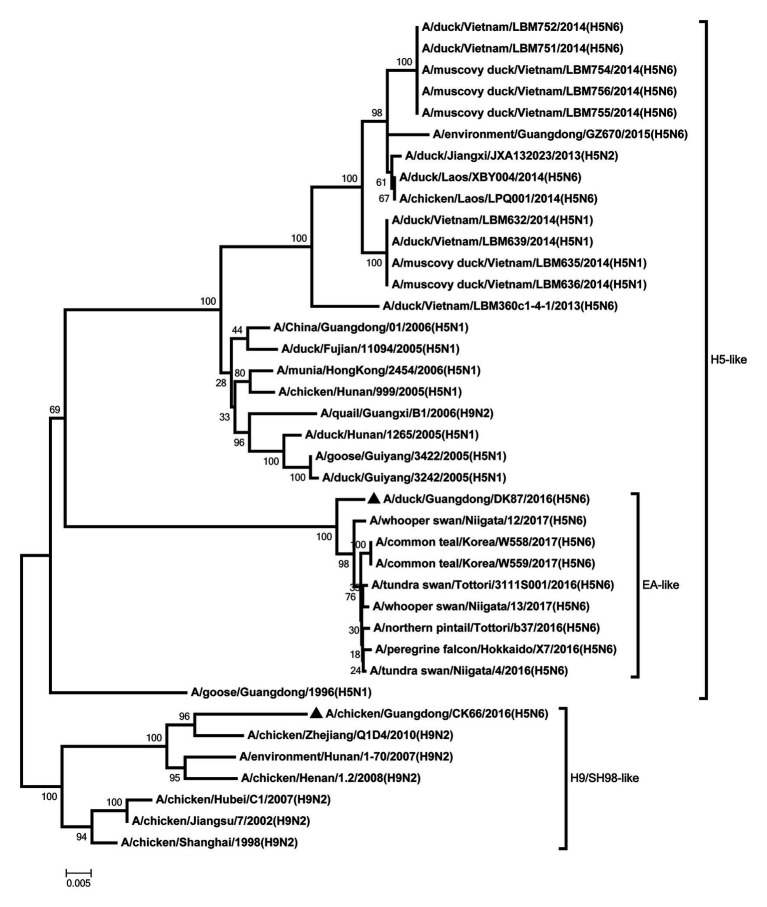 Figure 4